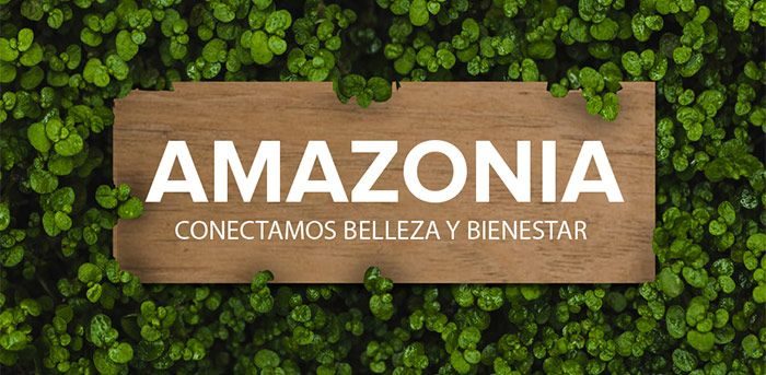 Logotipo de Amazonia Belleza: rótulo de madera sobre hojas